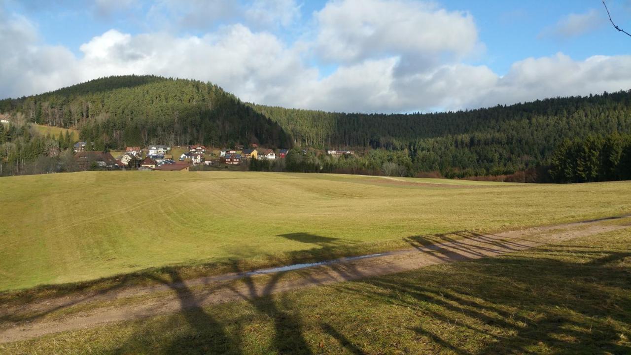 Oeko-Landhotel Basler Hof Lauterbach  Eksteriør bilde