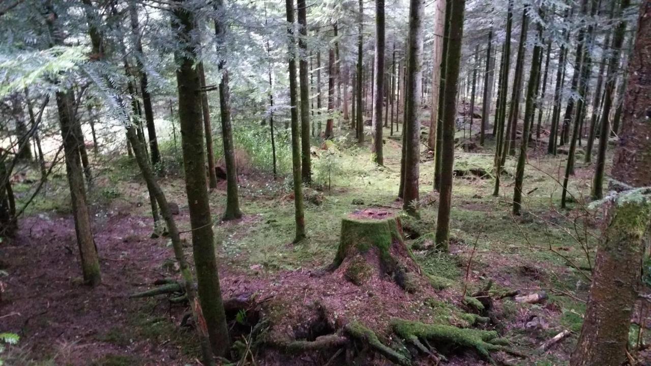 Oeko-Landhotel Basler Hof Lauterbach  Eksteriør bilde