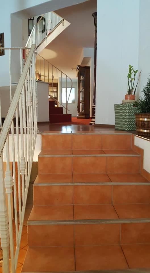 Oeko-Landhotel Basler Hof Lauterbach  Eksteriør bilde
